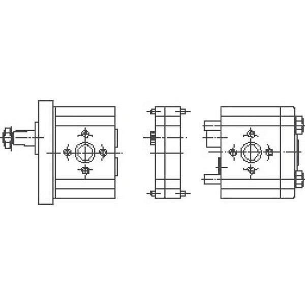 Element pompy PLP30.34-D0-65-M6 PLP3034DII | Exvi