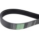 Pas klinowy zespolony AP1001169 | Exvi