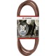 Pas klinowy 15.8x3168 mm FGP800023 | Exvi