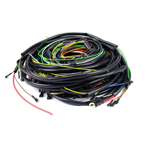 Instalacja elektryczna 4-cylindrowy 80642010EX | Exvi