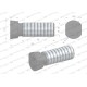 Śruba płużna oval z dwóch stron ścięta 712121238/KG | Exvi