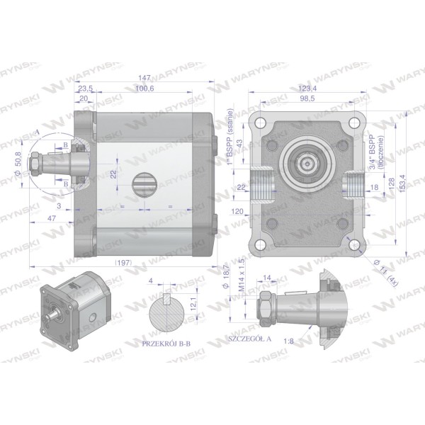 Pompa hydrauliczna zębata 48.0cm3 (grupa 3 PHAG3E48P | Exvi