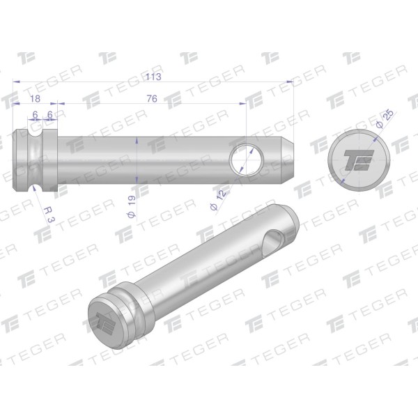 Sworzeń łącznika górnego 19x76x113 TEGER SLG1976113 | Exvi