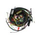Instalacja łączona kompletna alternator 42342942PAEX | Exvi