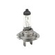 Żarówka H7 12V 55W PX26d TEGER H712V55W | Exvi