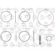 Zestaw naprawczy silnika C-330 (komplet) 50/00-001/0 | Exvi