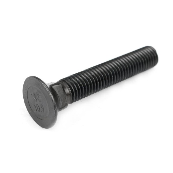 Śruba płużna podsadzana D 608 M12x70 mm 608101270/KG | Exvi