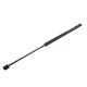 Siłownik szyby tylnej L max. 549mm 3234163R0P | Exvi