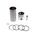 Zestaw naprawczy THM SW 400 silnika THMSW400 | Exvi