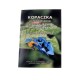 Katalog Kopaczka ciągnikowa | Exvi