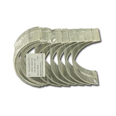 Kpl. panewek korbowodowych (II szlif) 9125014210 | Exvi
