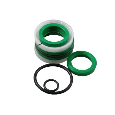 Komplet uszczelniaczy cylindra SJ2F-40/22/HX F-173 | Exvi