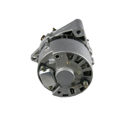Alternator z regulatorem i kołem pasowym 59115740 | Exvi