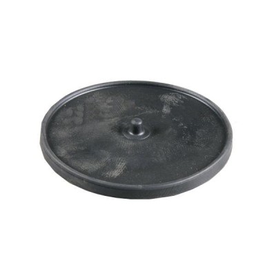 Przepona główna RAU fi120 20x120x10 B20X120X10 | Exvi