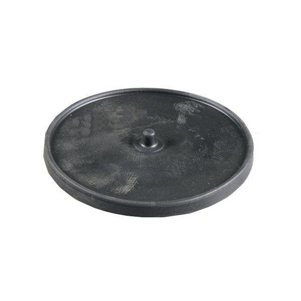 Przepona główna RAU fi120 20x120x10 B20X120X10 | Exvi
