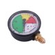 Manometr glicerynowy M63 0-25 bar. MGO63PM12D25P | Exvi