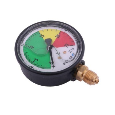 Manometr glicerynowy M63 0-25 bar. MGO63PG14D25P | Exvi