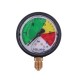 Manometr glicerynowy M63 0-25 bar. MGO63PG14D25P | Exvi