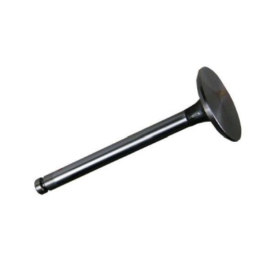 Zawór ssący 1877717M92 Massey RM-31431641 | Exvi