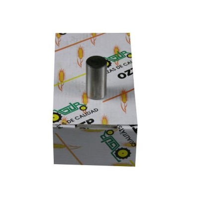 Sworzeń satelit reduktora MF3 RM-897019M1 | Exvi