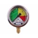 Manometr glicerynowy M63 0-6 bar gwint MGO63KM12D6P | Exvi