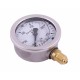Manometr glicerynowy M63 0-250 bar MGH63KG14D250P | Exvi
