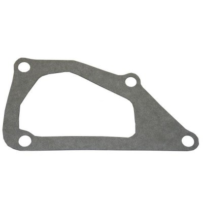 Uszczelka pompy wody SW400 Bizon PL601219 | Exvi