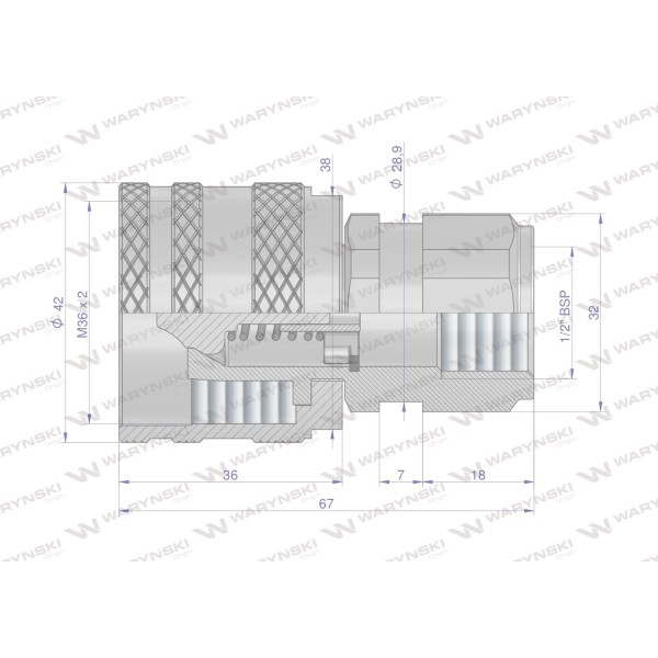 Szybkozłącze hydrauliczne skręcane wtyczka WDCVV12SW | Exvi