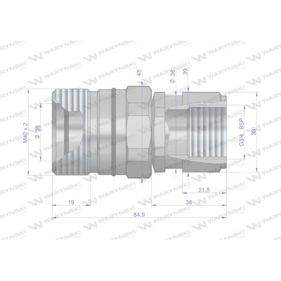 Szybkozłącze hydrauliczne skręcane gniazdo WDCVV34GW | Exvi
