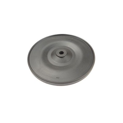 Przepona pompy B10x123x12 ( zamiennik W19699 | Exvi