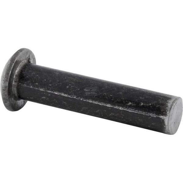 Nit koła talerzowego, pasuje do C-360 54/24-023/8 | Exvi