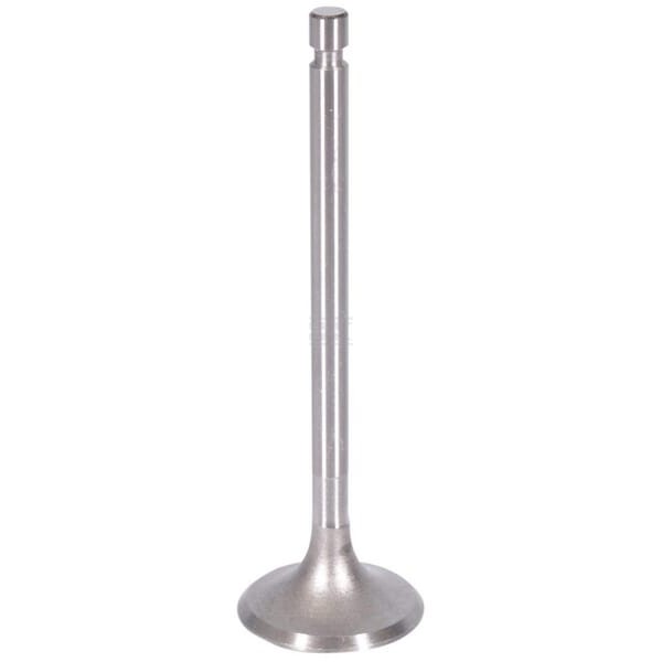 Zawór ssący, pasuje do C-360 50/50-505/1 | Exvi