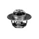 Termostat, pasuje do Zetor VPE3416 | Exvi