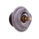 Termostat F1192000500040 Deutz Fendt 04/22-484/1 | Exvi