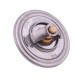 Termostat SW400 Bizon POLMO 323378P | Exvi