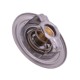 Termostat SW400 Bizon POLMO 323378P | Exvi