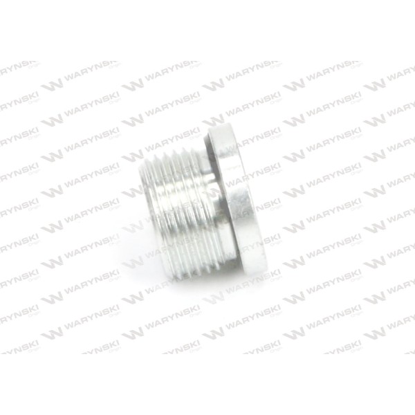 Korek hydrauliczny calowy (na imbus) 1/8" 400100E02 | Exvi
