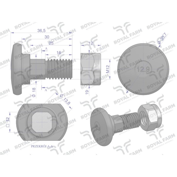 Śruba nożyka kpl. M12x37 zastosowanie RF-1374593 | Exvi
