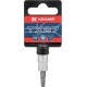 Nasadka Torx z otworem 1/4", TX 27 18060066027KR | Exvi