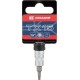 Nasadka Torx z otworem 1/4", TX 15 18060066015KR | Exvi