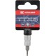 Nasadka Torx z otworem 1/4", TX 8 18060066008KR | Exvi