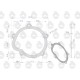 Uszczelka pompy wodnej krążelit 0.8mm 50/00-451/0 | Exvi