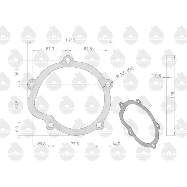 Uszczelka pompy wodnej krążelit 0.8mm 50/00-451/0 | Exvi