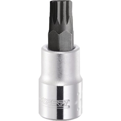 Nasadka Torx 12-kt. 1/2" XZN Expert, M12 E031971 | Exvi