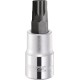 Nasadka Torx 12-kt. 1/2" XZN Expert, M10 E031970 | Exvi
