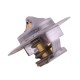 Termostat 83916917 Ford POLMO 83/91-691/7 | Exvi