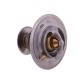 Termostat RE517011 JOHN DEERE POLMO RE517011P | Exvi