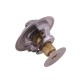 Termostat 2485613 LANDINI POLMO 2485613P | Exvi