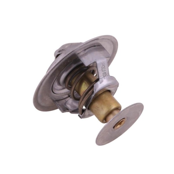 Termostat 2485613 LANDINI POLMO 2485613P | Exvi