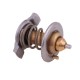 Termostat wkład 504221036 NEW HOLLAND 504221036P | Exvi